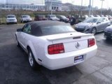 2008 Ford Mustang for sale in Nashville TN - Used Ford by EveryCarListed.com