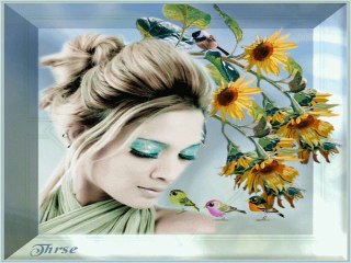 Yold   (images*ODE*)