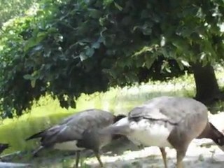 04-07-2011 Parc MontSouris