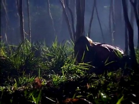 Coracões Feridos 21-02-2012 Parte 3 [FINAL] Capitulo 027 de terça-feira