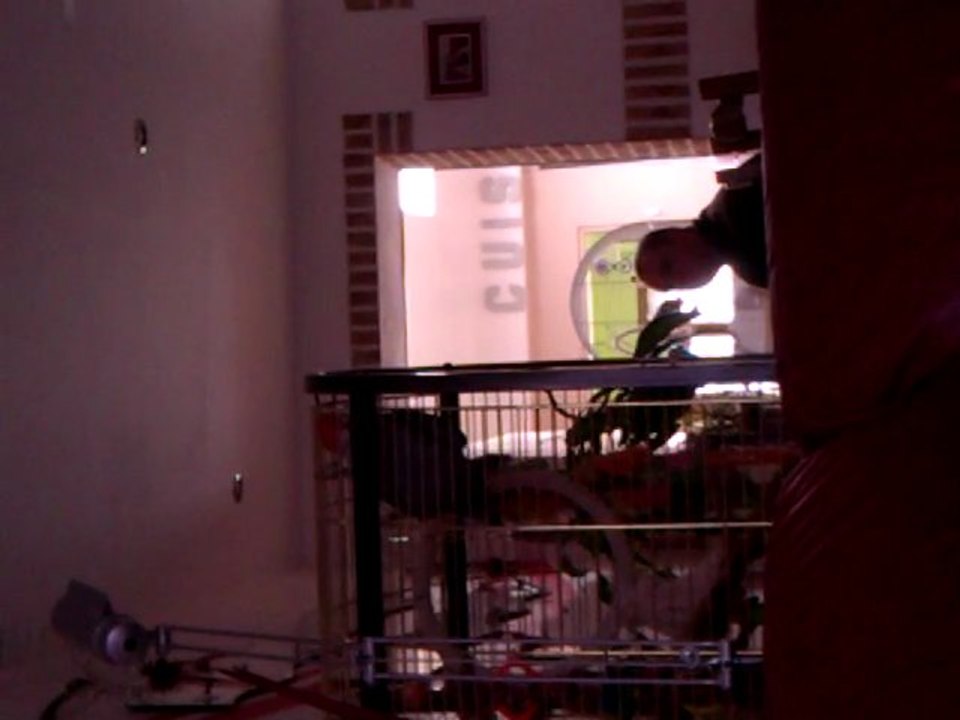 tico qui dit"ca va papa?"