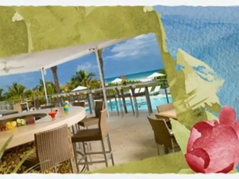 Miami Luxury Hotels - Experience the Sun, the Sea, and the Sand!