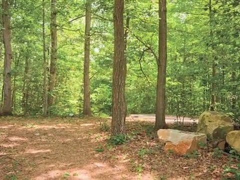 Springwoods at Lake Ridge Apartments in Woodbridge, VA ...