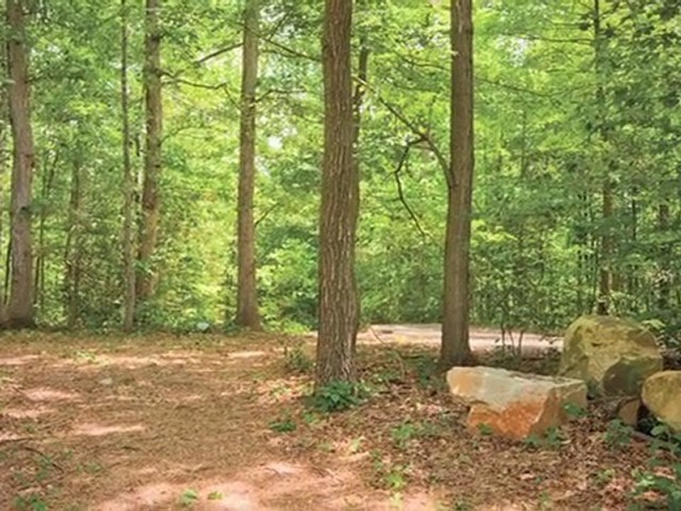 Springwoods at Lake Ridge Apartments in Woodbridge, VA ...