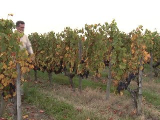 Qui à dit que les Bordelaises n'avaient pas de caractère?