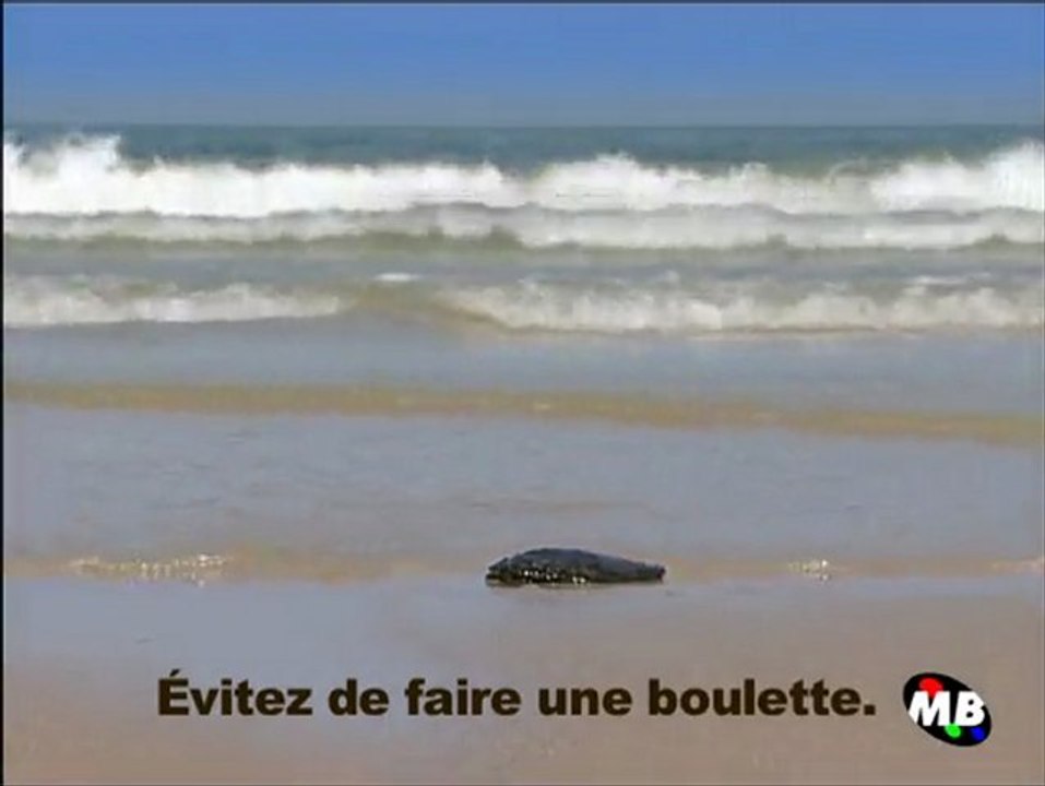 boulette