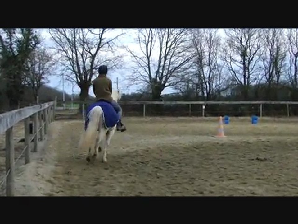 Dressage_14/02/12