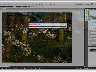 Avec un logiciel, on peut mofifier les apparences Windows, voici quelques exemples.