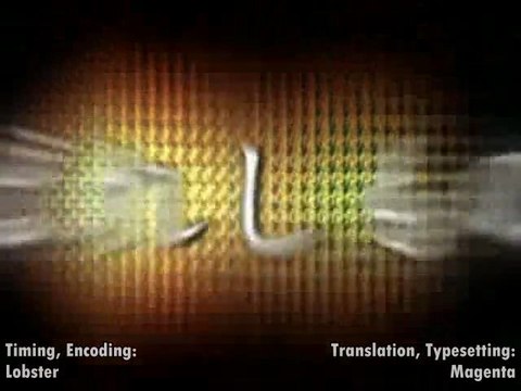 The Secret Life of Megaman Otakon 2009 Panel - Part 1