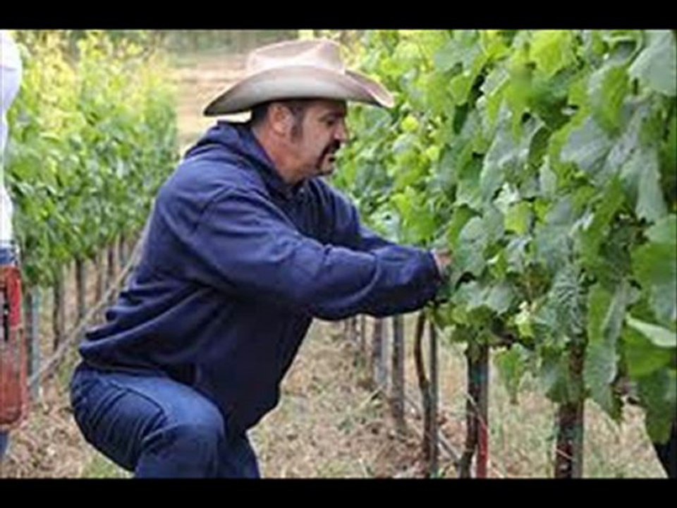 Undercover Boss  Season 3 Episode 4 Checkers 3 Rally’s“Part 2 Full HD”