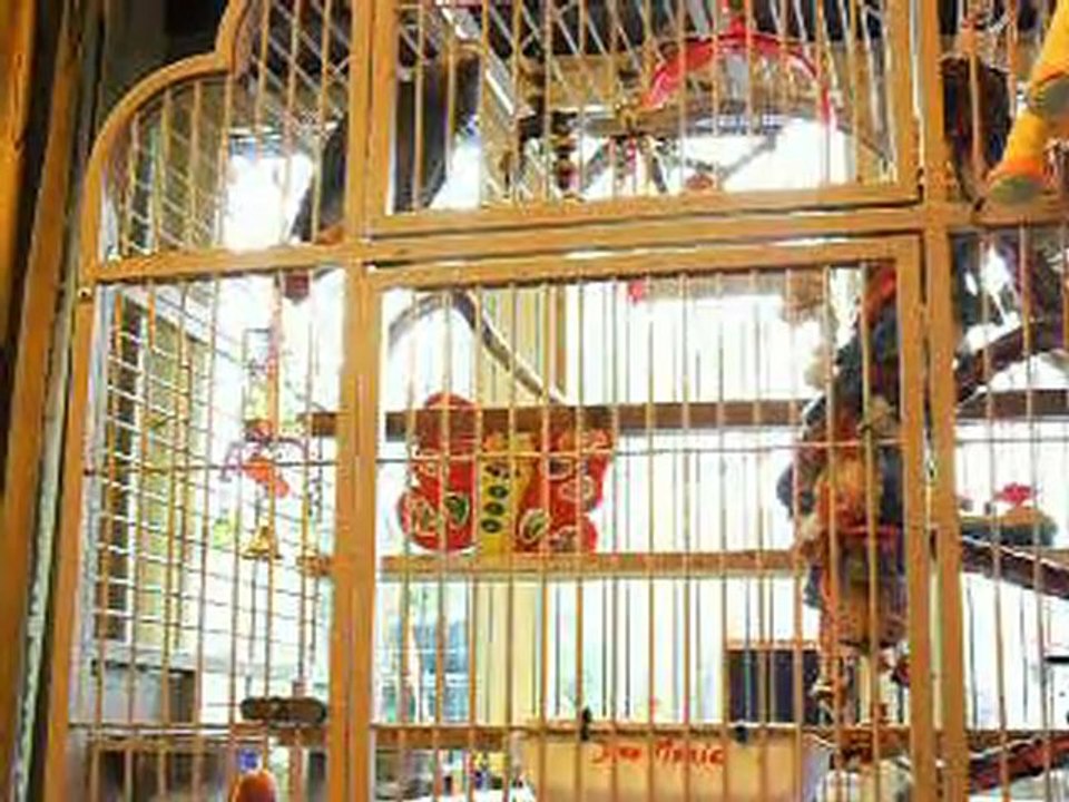 que t'est beau , j'entend chanter .......le renard