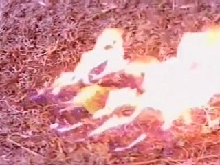 Devi Parasakthi - Tantri likes a Woman