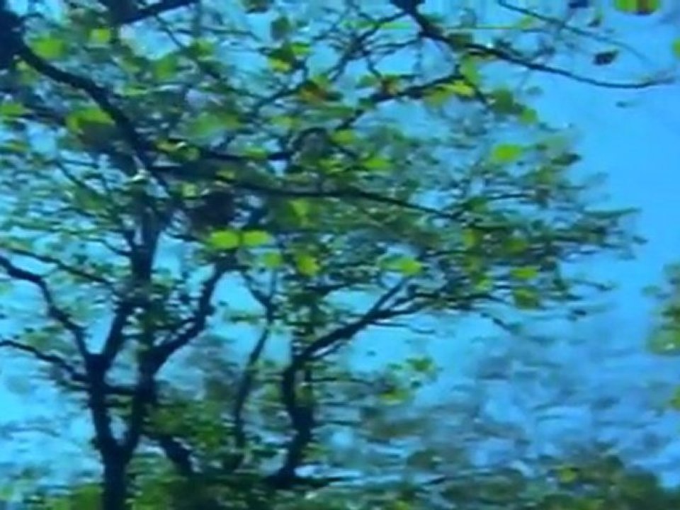 JAATHIPPOKKAL SCENE 5