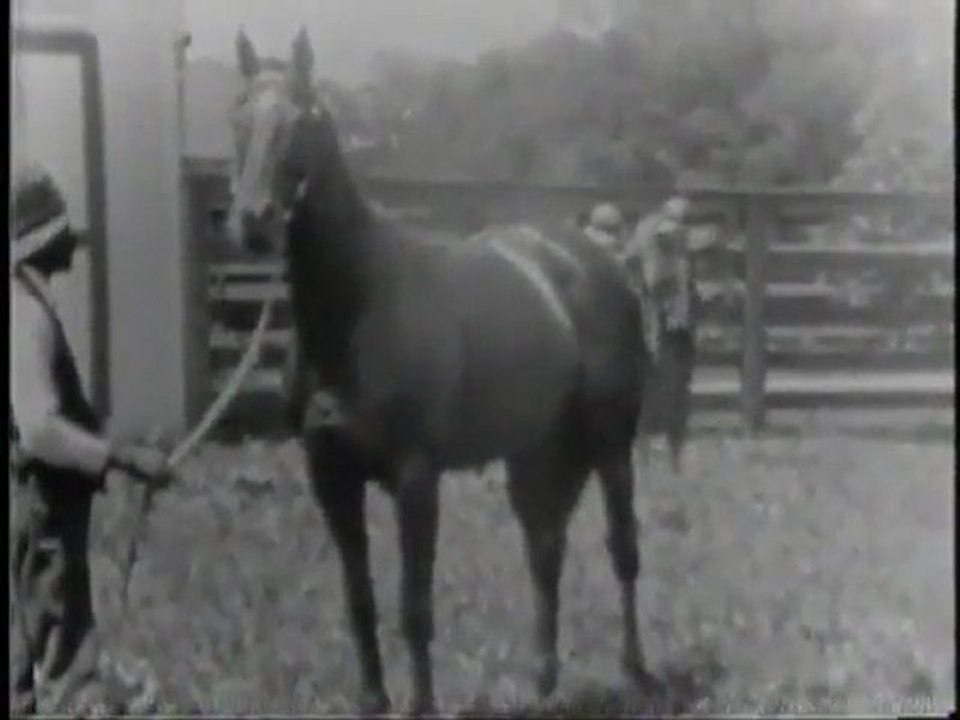 Horse Racing Videos- Watch Online original Horse Racing Video Clips from YouTube and other content sources