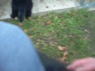 22 février 2012 : Hurus ne veut pas marcher dans l'herbe