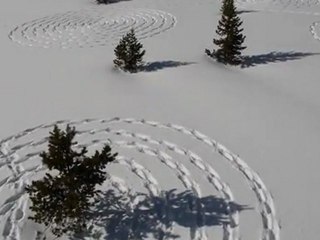 Des cercles et ronds dans la neige