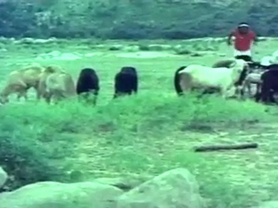 Nenja Thottu Chollu 14  - Hero saves Heroine