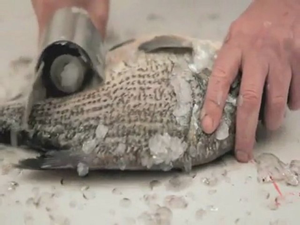 Apack KT Balik Pulu Soyma Makinasi