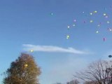 TELETHON 2011 : Lacher de Ballons à Saint Georges sur Loire (Maine et Loire-49)