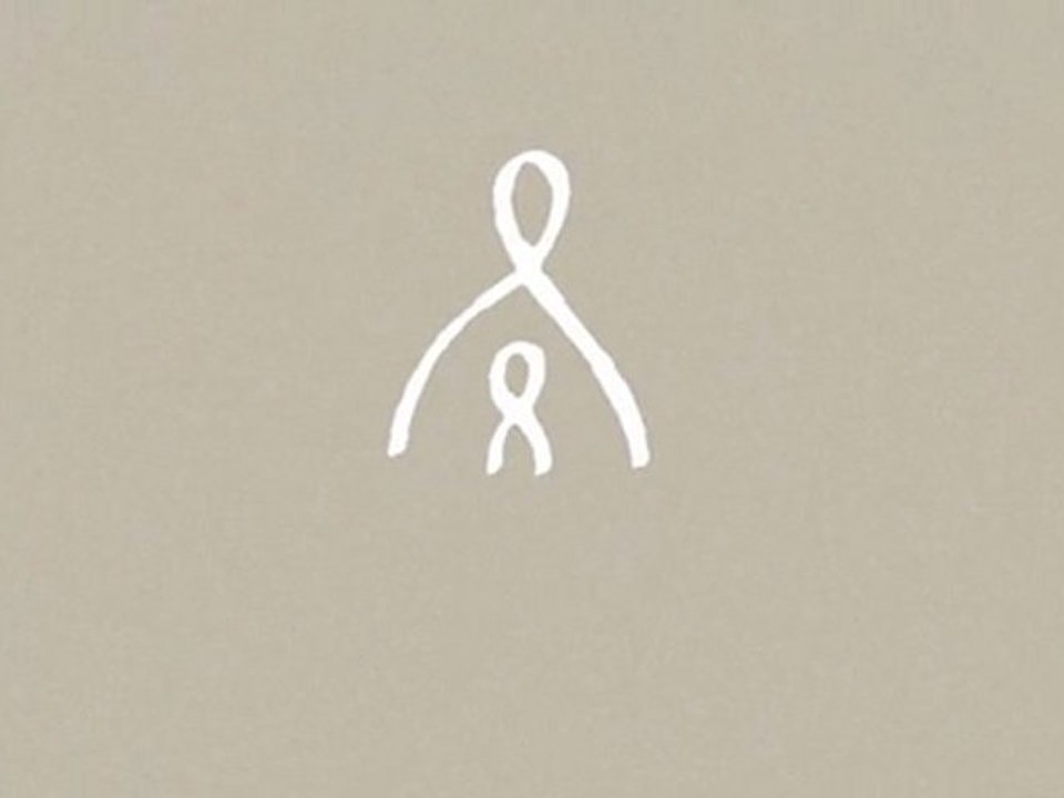 Born HIV Free: All Mothers Can protect their Children from HIV