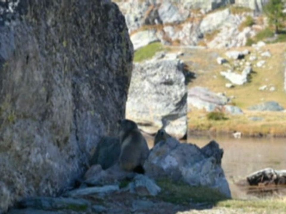 Nos amis dans la montagne par pierrot