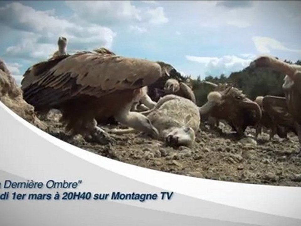 Bande-Annonce - La Dernière Ombre