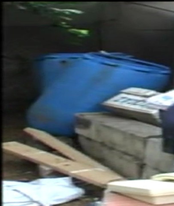 BB lachose se shoote à la porc-nographie par Mohamed Gasmi