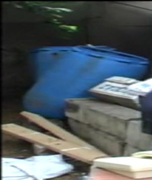 BB lachose se shoote à la porc-nographie par Mohamed Gasmi