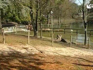 Icaro Tv. Riccione. Parco Resistenza, il laghetto straripa