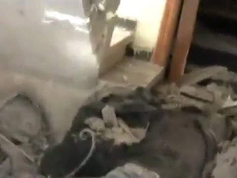 فري برس حمص باباعمرو قتل صحفيين 22 2 2012