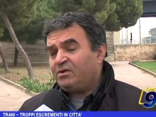 Trani | Troppi escrementi in città