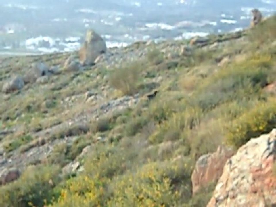 DSCN2249