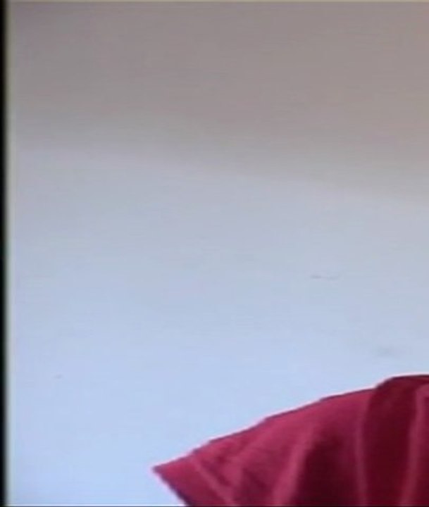 BB lachose - Il était une fois une puce au Far Ouste par Mohamed Gasmi