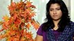 jyothi(Thilothama) - S V Krishna God Father ,Telugu Movie Film Actress,Thilothama,film,hot