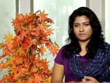 jyothi(Thilothama) - S V Krishna God Father ,Telugu Movie Film Actress,Thilothama,film,hot
