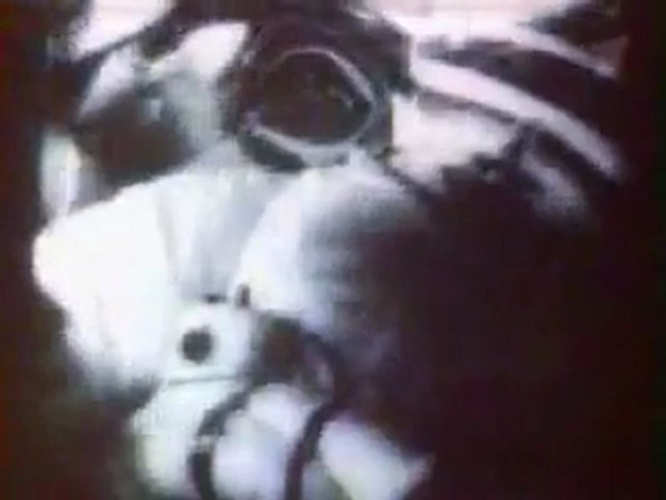 Voskhod 2 Mission