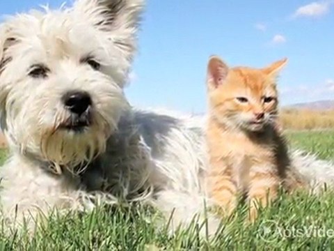 Arbors at Baltimore Crossroads Apartments in Baltimore, ...