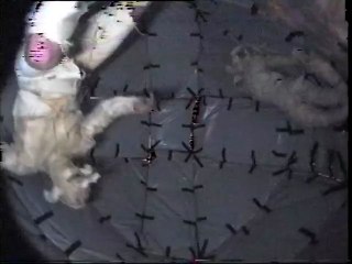 Dialogue avec mon double ( Action physique 1997)