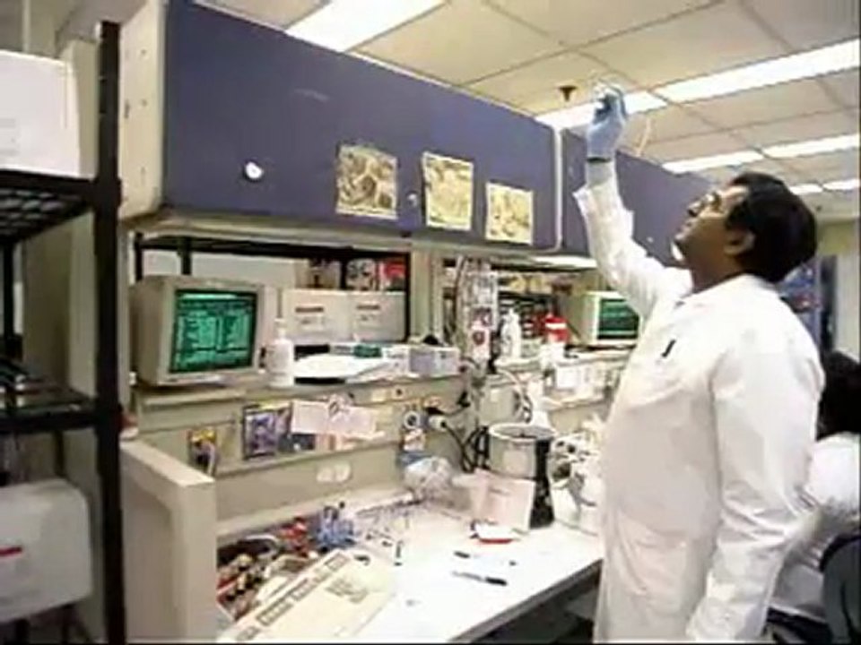 Phlebotomy Technician - YouTube