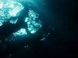 Survive - TV Spot Survive (English)