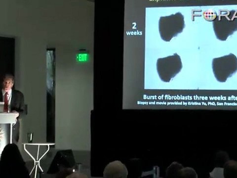 Stem Cells and Medicine: Be Your Own Guinea Pig