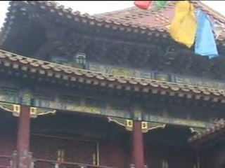 El gobierno tibetano llama a no celebrar el Año Nuevo del Dragón de Agua