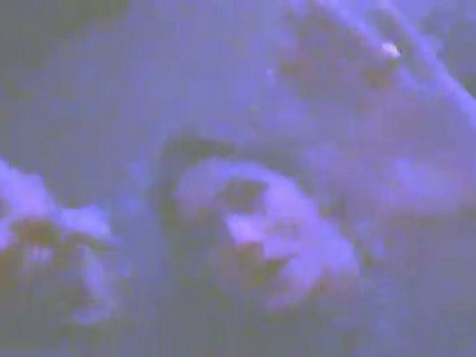 port du rhin party #1