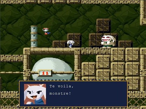 Cave story Le village et l'incubateur