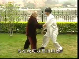 Si Zhong Tuishou Ji Jin Fa