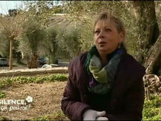 France 5 - Silence, ça pousse ! - Violettes