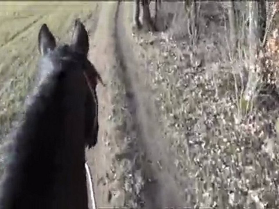 olten balade pas février2012