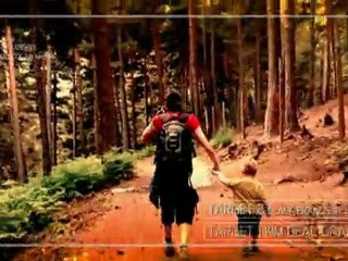 Bird dreams of the Olympus Mons