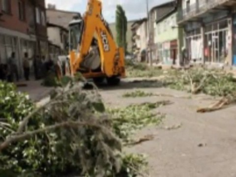 TELLİ KAVAK-AYDIN GÜN-(YURDAGÜL ÖZAY).wmv -