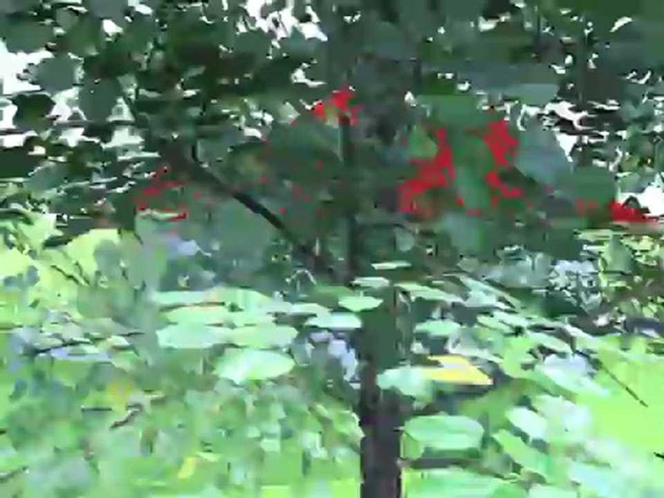 Akay Çelik Yapı İnşaat Sanayi ve Ticaret Limited Şirketi